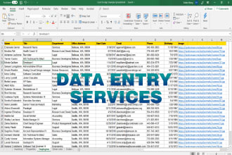 do data entry wordpress and woocommerce product listing