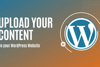 help you with wordpress