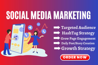 manually facebook, instagram and twitter growth and page engagement daily