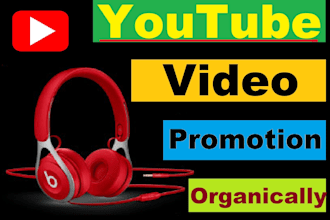 do organic youtube promotion and video music promotion to get audience