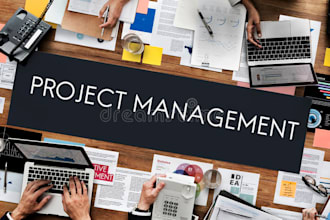 do project management and business management tasks