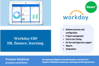 support workday erp implementation needs