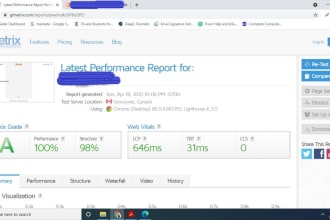 do shopify store and wordpress  speed optimization