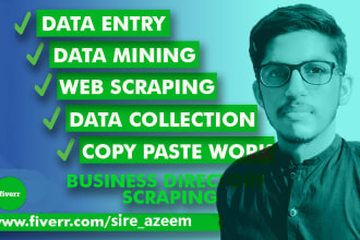 do data entry PDF to excel, PDF to word, data mining, and web search