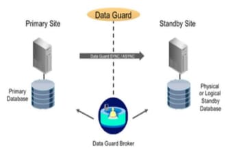 upgrade and migrate oracle database