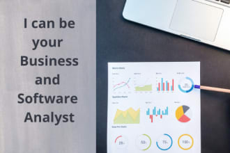 be your software business analyst