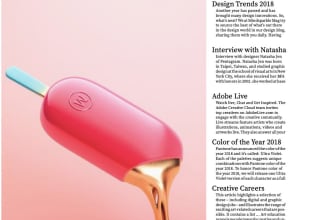 design business brochure, catalog, magazines, books in adobe indesign
