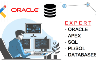 开发oracle数据库，apex应用，sql, PLSQL