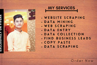 do website scraping and data scraping