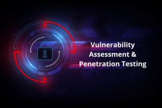 provide cyber security and penetration testing service