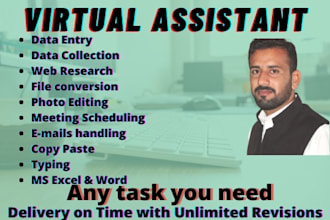 data entry, VA for you and provide quality of work