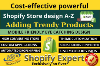design powerful ecommerce shopify website or SEO optimize shopify store