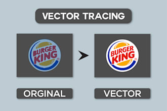 manual vector tracing, vectorization, illustration, and image trace