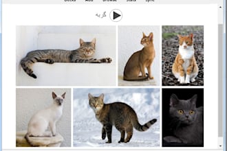 make anki flashcards for persian and japanese learning