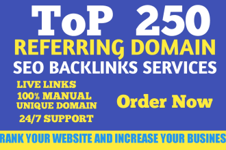 build 250 high quality referring unique domain SEO backlinks for website ranking