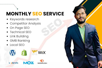 provide complete monthly SEO service with link building