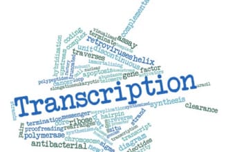 transcribe your audio and video accurately