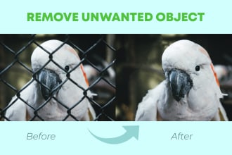 edit and retouch your photo as you need
