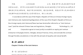 provide chinese legal service