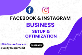 set up or fix professional facebook and instagram business page