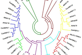 assist you in bioinformatics analysis