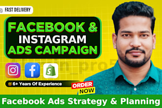 run profitable facebook ads campaign and instagram ads campaign