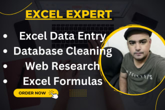 organize, clean up excel email contact list, data entry collection, web research