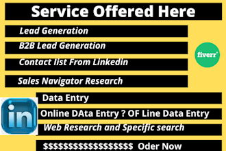do lead generation, linkedin research, data entry