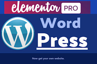 design a professional wordpress website or blog