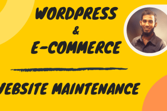 do wordpress maintenance and ecommerce website maintenance