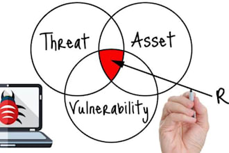 perform vulnerability assessment of your site