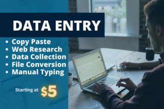 do accurate data entry, copy paste, web research, excel data entry in 24 hours