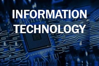 write essays and articles on information technology for you