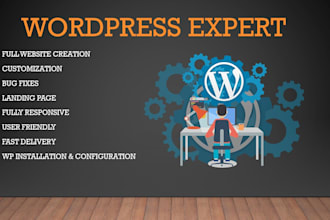 expertly design or changes your wordpress website
