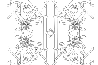 convert your reference images into colouring book pages