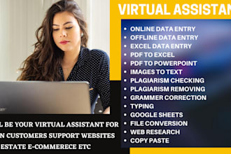 be your virtual assistant for admin websites real estate work