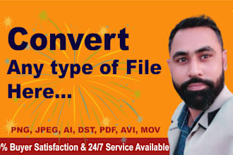 do conversion any file format, pdf,jpg,word,dst,avi,excel,ppt