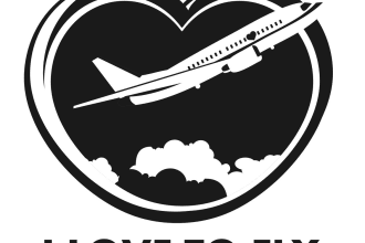 design wonderful aviation logo with own creative thinking
