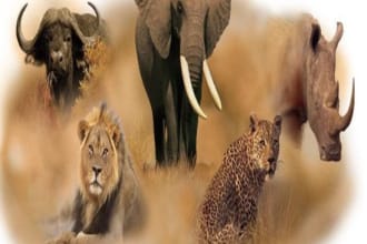 be your travel planner and advisory to kenya