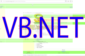 work for microsoft visual basic vbnet