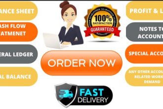 do balance sheet and profit and loss