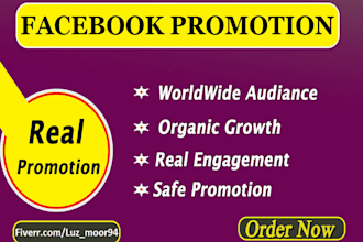 do organic promotion of your facebook page to large targeted audience