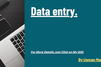 do data entry on excel within 24hrs