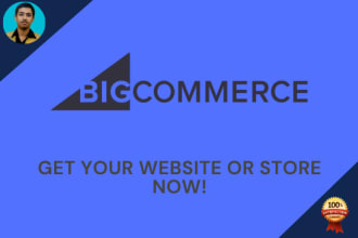 design and build bigcommerce store for you