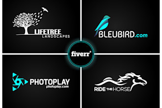 be your professional website logo designer