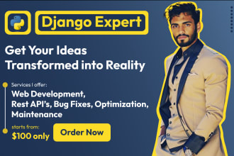 develop custom django web applications to elevate your business