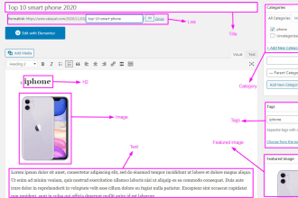 do wordpress data entry and blog post for your website