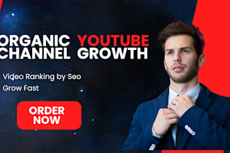 be your youtube SEO expert for organic ranking