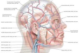 assist in anatomy, physiology and microbiology