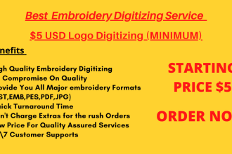 do professional embroidery digitizing into dst emb pes files